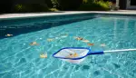 Der richtige Pool Kescher: Sauberkeit ist alles