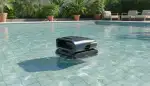 Algenfrei mit dem richtigen Poolroboter