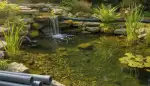 AquaOne Teichschlauch 50 mm: Die flexible Lebensader für Ihren Gartenteich